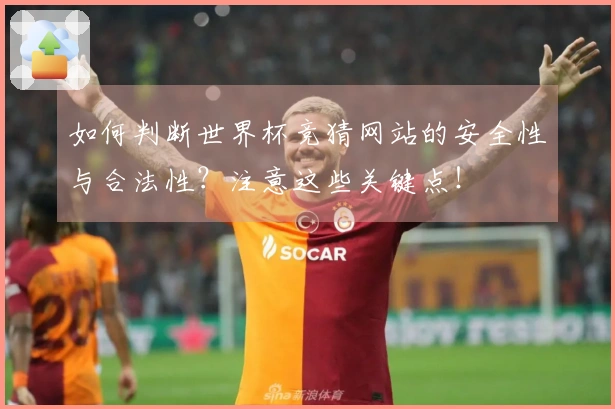 如何判断世界杯竞猜网站的安全性与合法性?注意这些关键点!